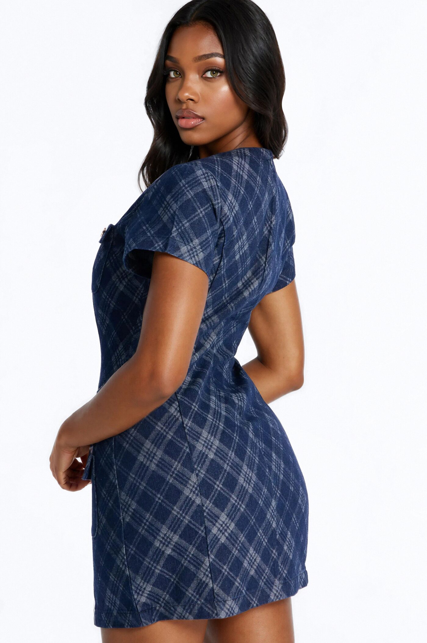 Camila Plaid Denim Mini Dress - Denim
