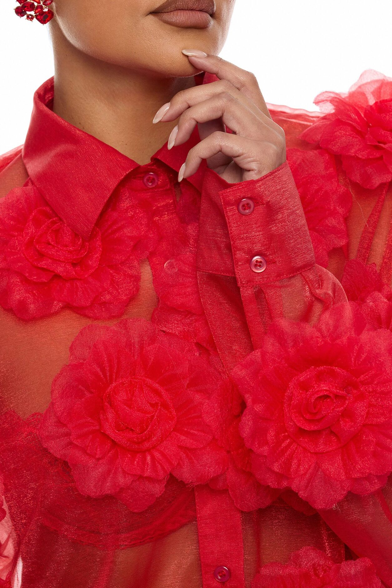 Violet Veil Floral Applique Top - Red