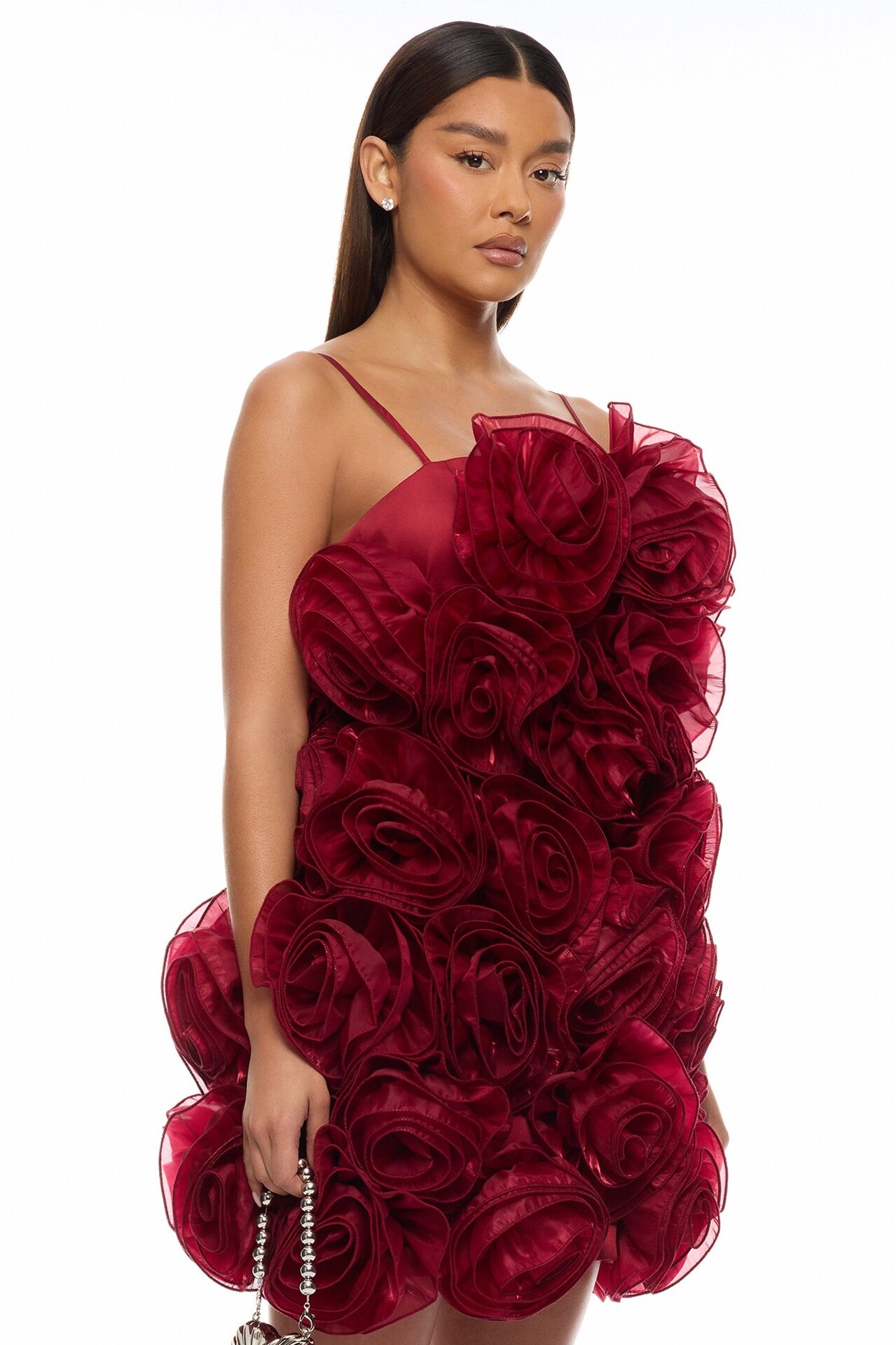 Wild Roses Floral Applique Mini Dress - Wine