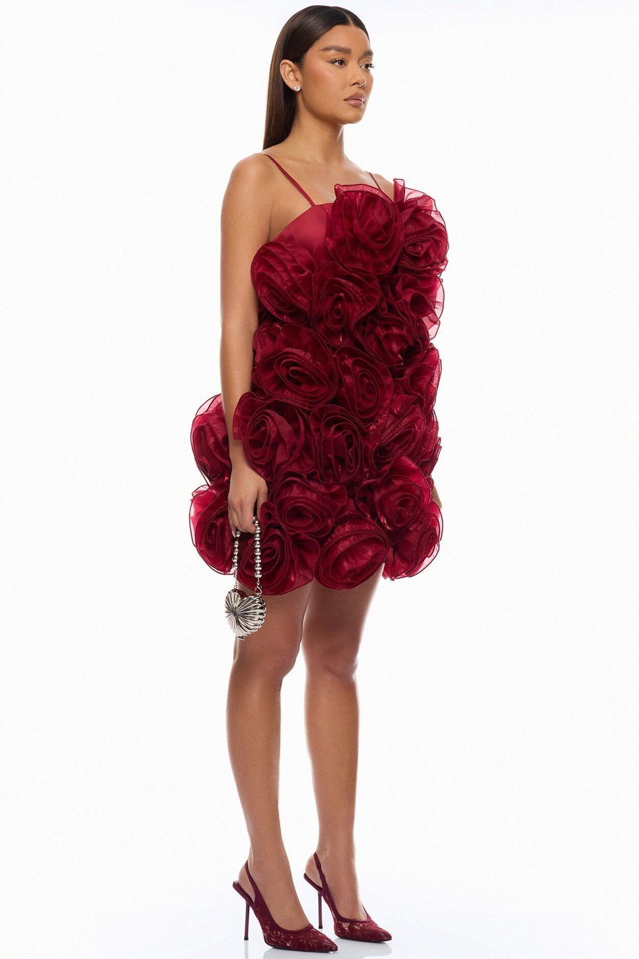 Wild Roses Floral Applique Mini Dress - Wine