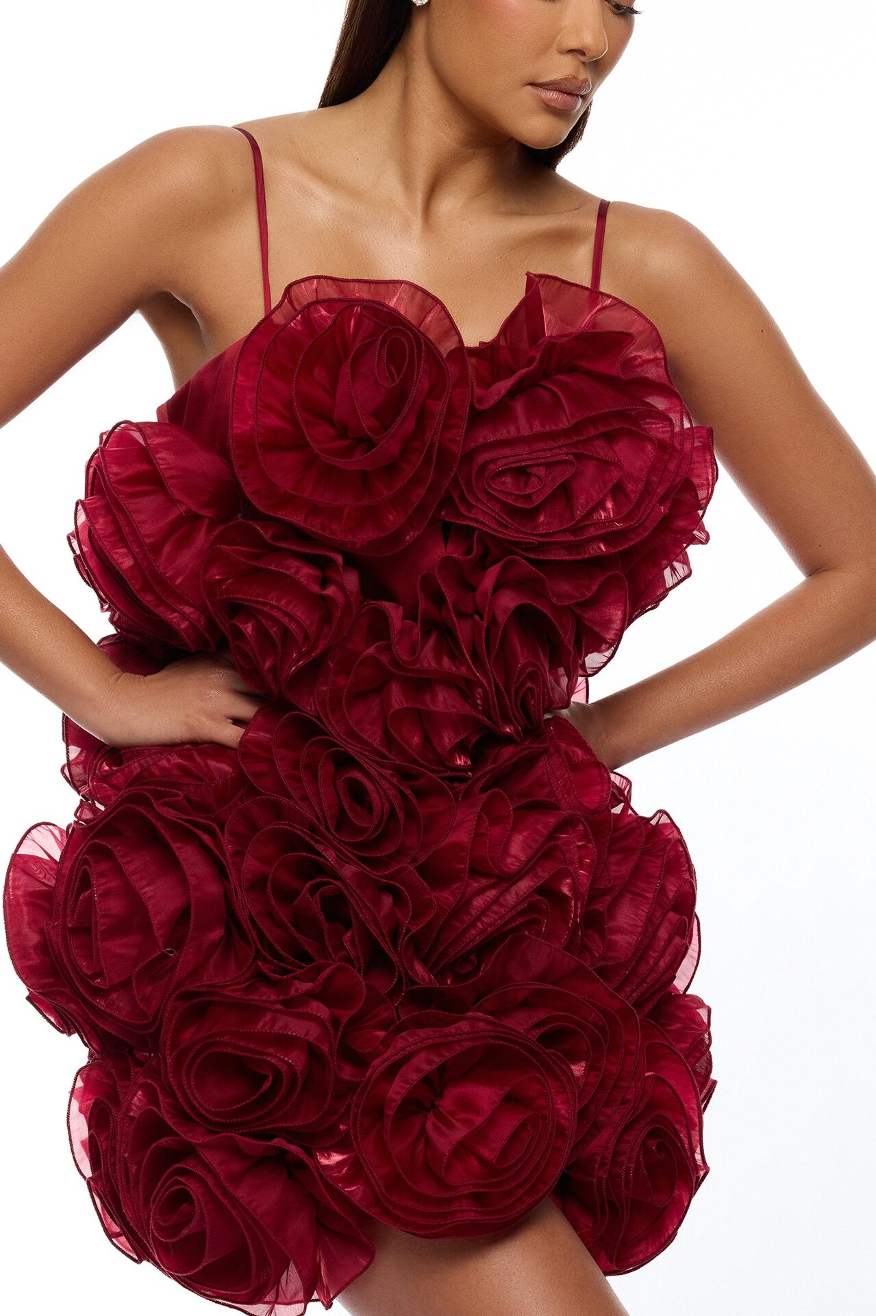Wild Roses Floral Applique Mini Dress - Wine