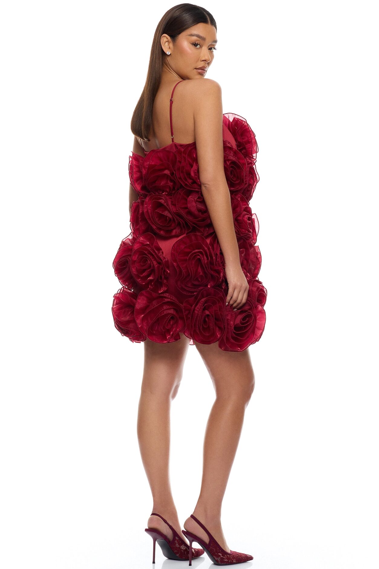 Wild Roses Floral Applique Mini Dress - Wine