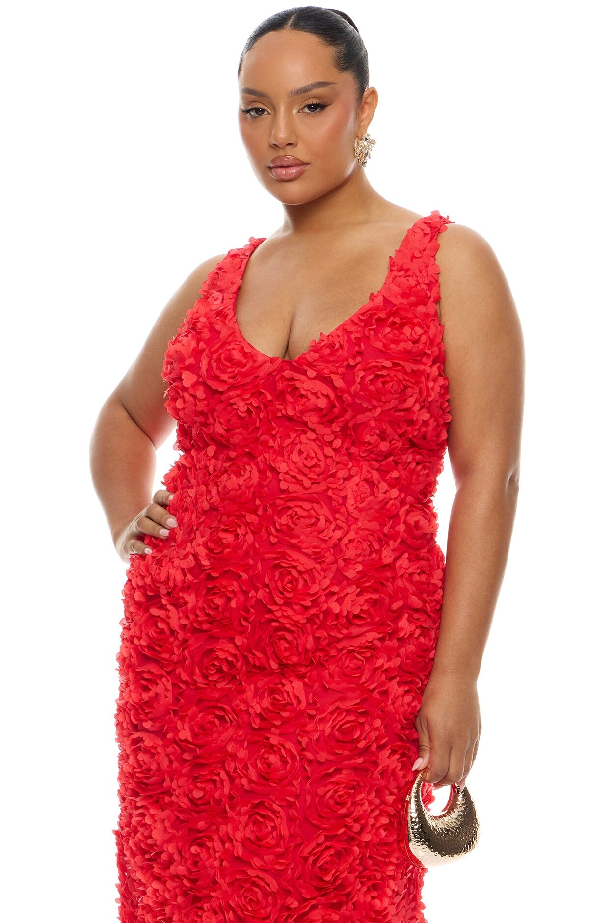 Rose Gardens Floral Applique Midi Dress - Red
