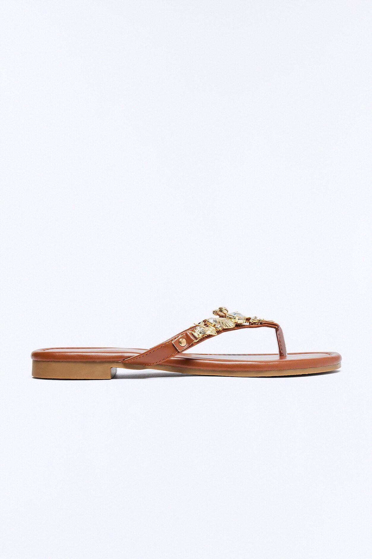 Conch Shell Hardware Flip Flops - Brown