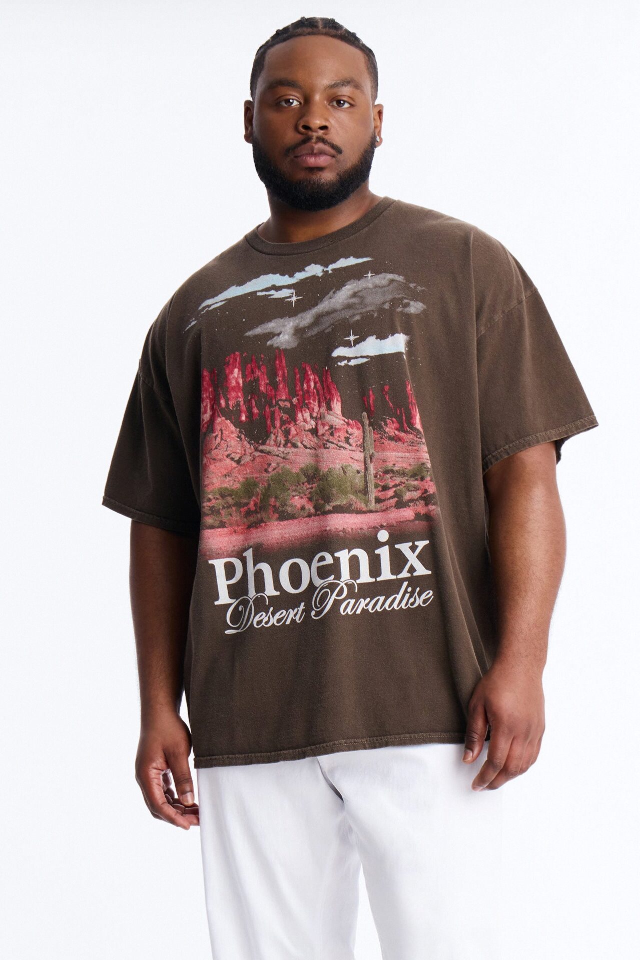 Phoenix Desert Paradise Oversized Short Sleeve Tee - Chocolate