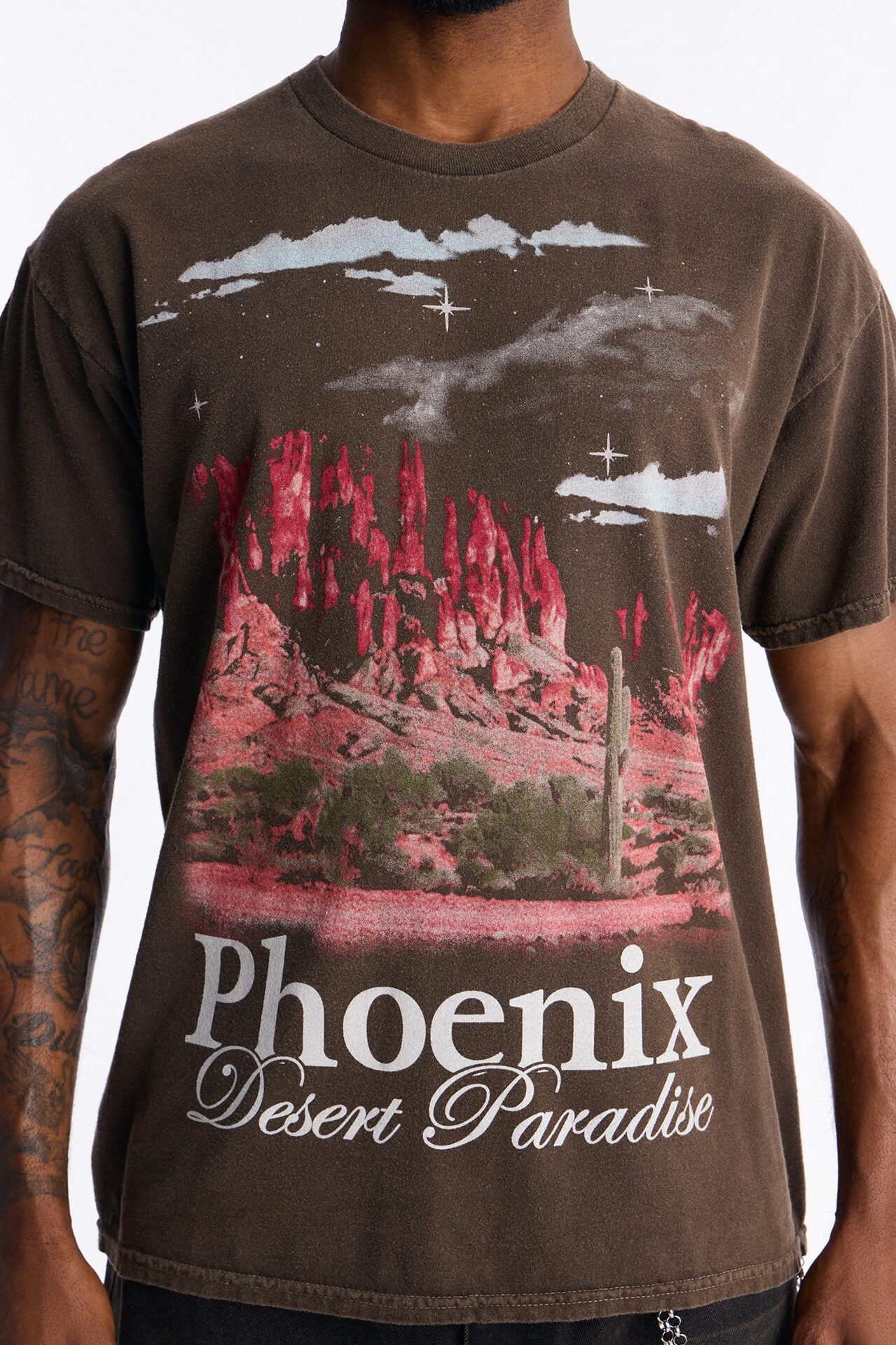 Phoenix Desert Paradise Oversized Short Sleeve Tee - Chocolate