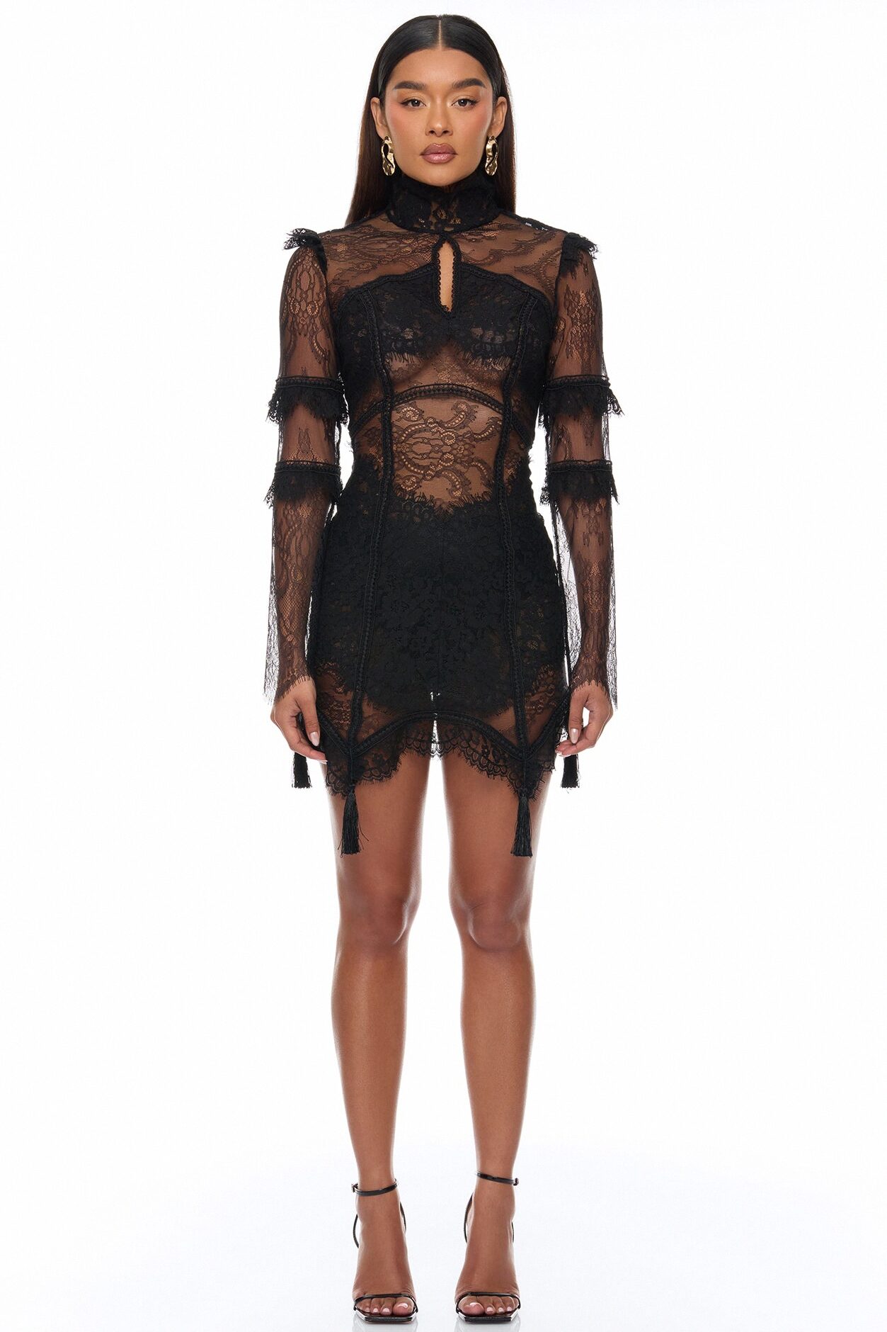 Lana Sheer Lace Mini Dress - Black