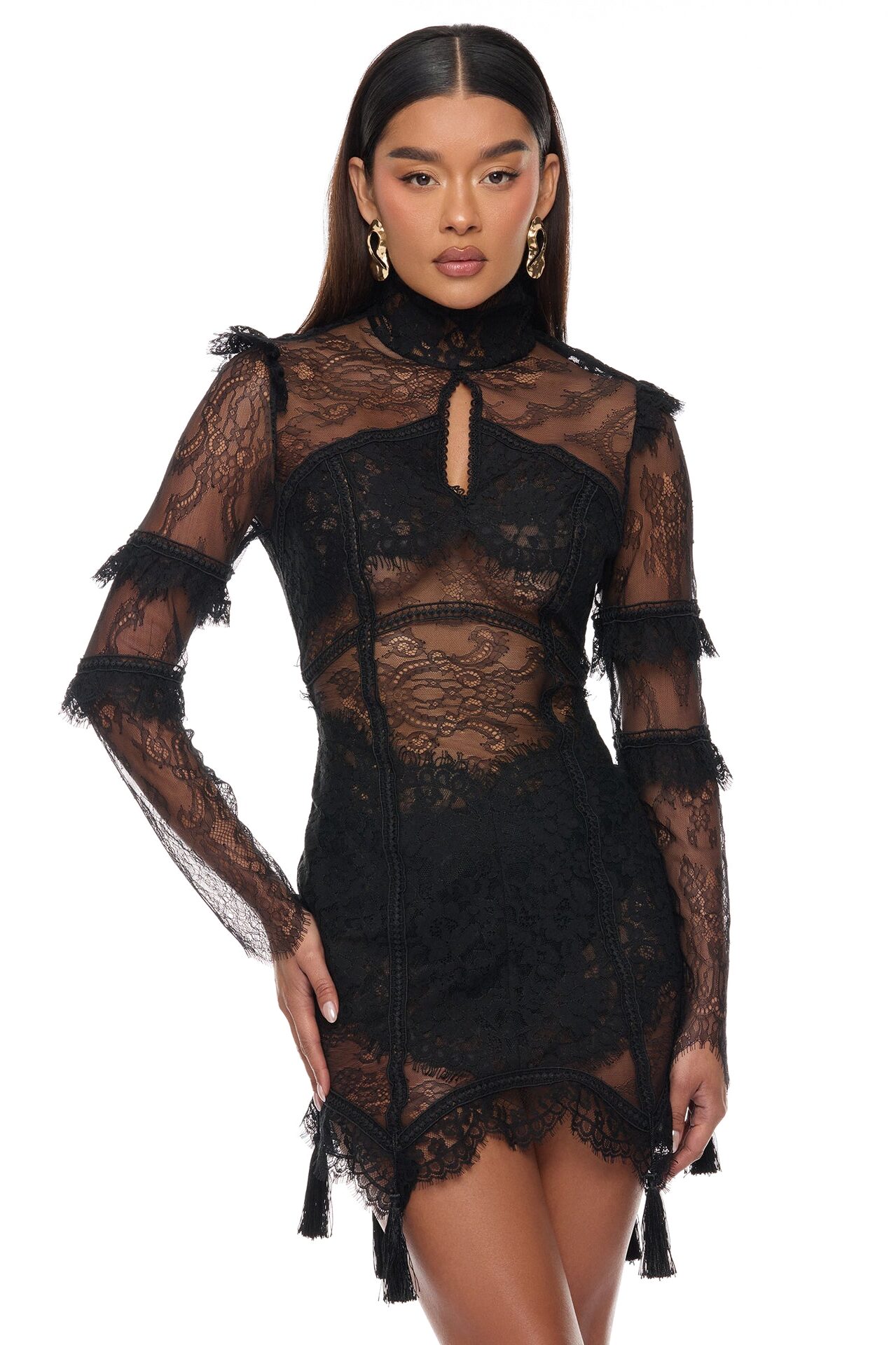 Lana Sheer Lace Mini Dress - Black