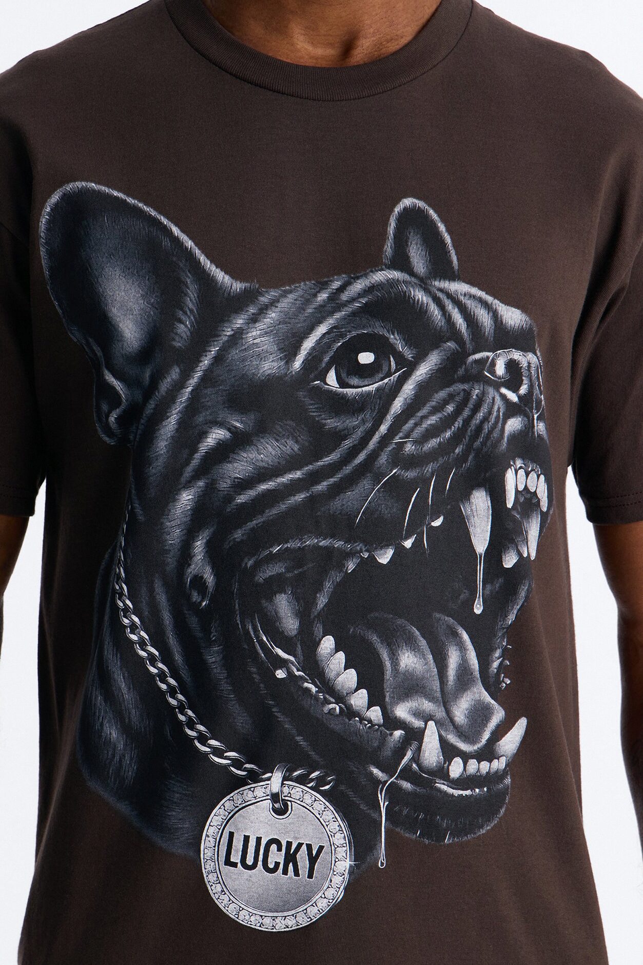 Lucky French Oversized Short Sleeve Tee - Brown
