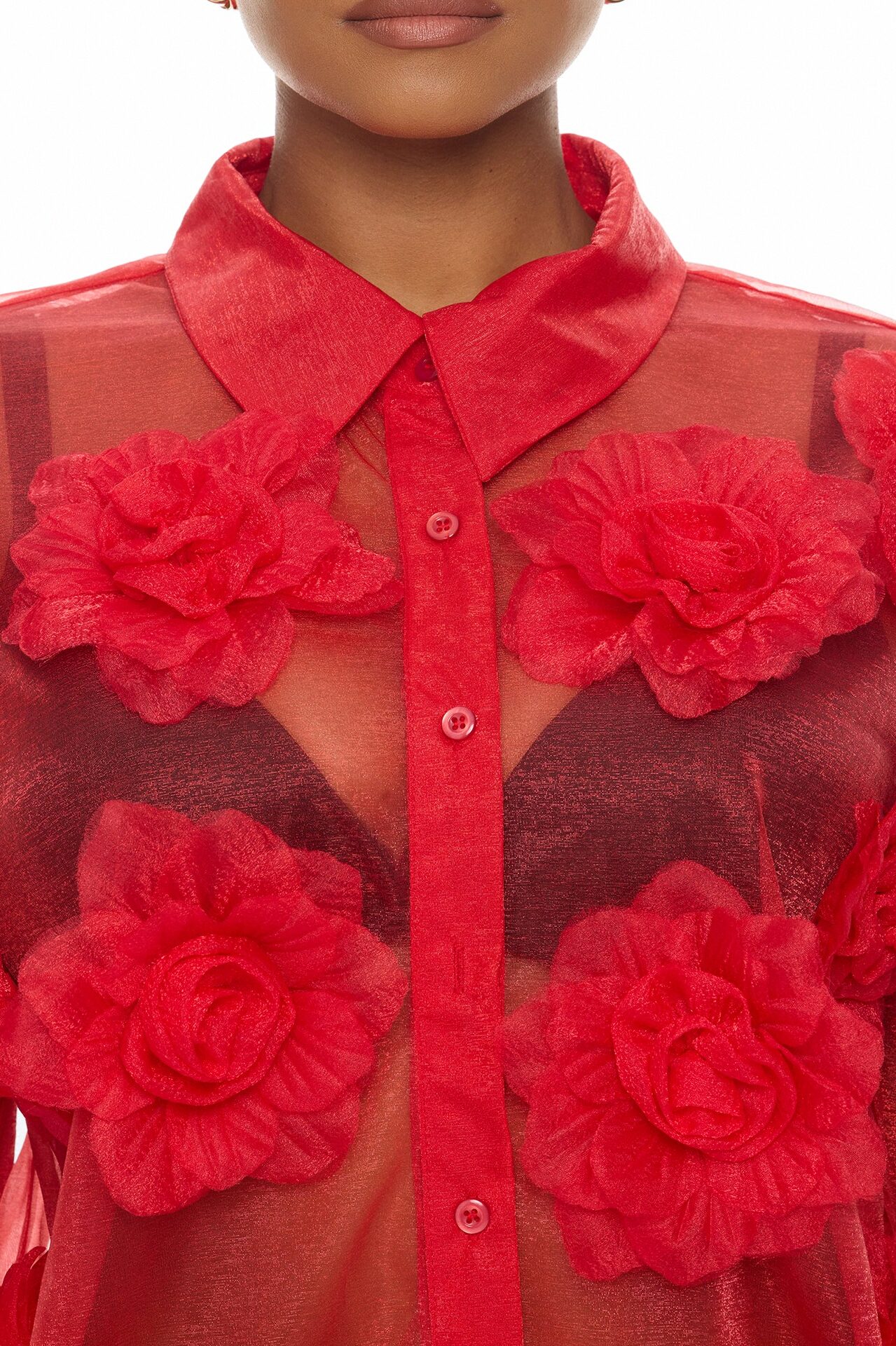 Violet Veil Floral Applique Top - Red