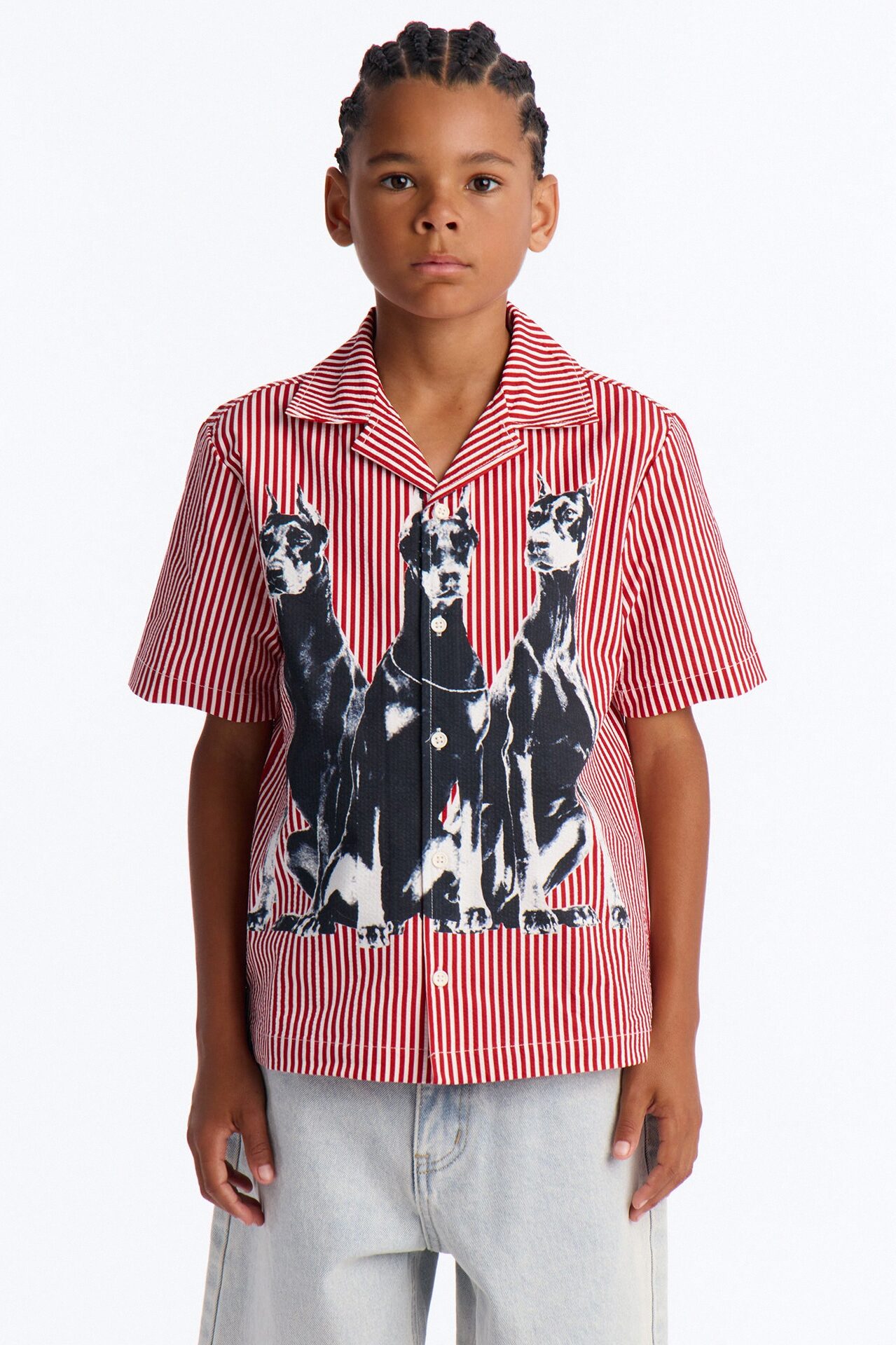 Mini Doberman Seersucker Stripe Cuban Collar Button Up Shirt - Red/combo