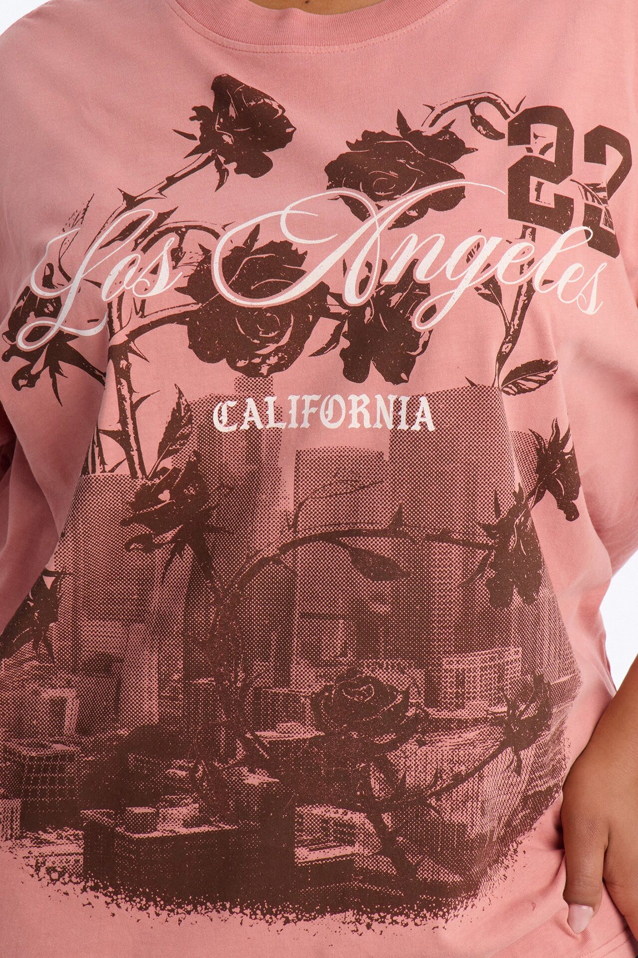 Los Angeles Rose's Washed T-Shirt - Blush