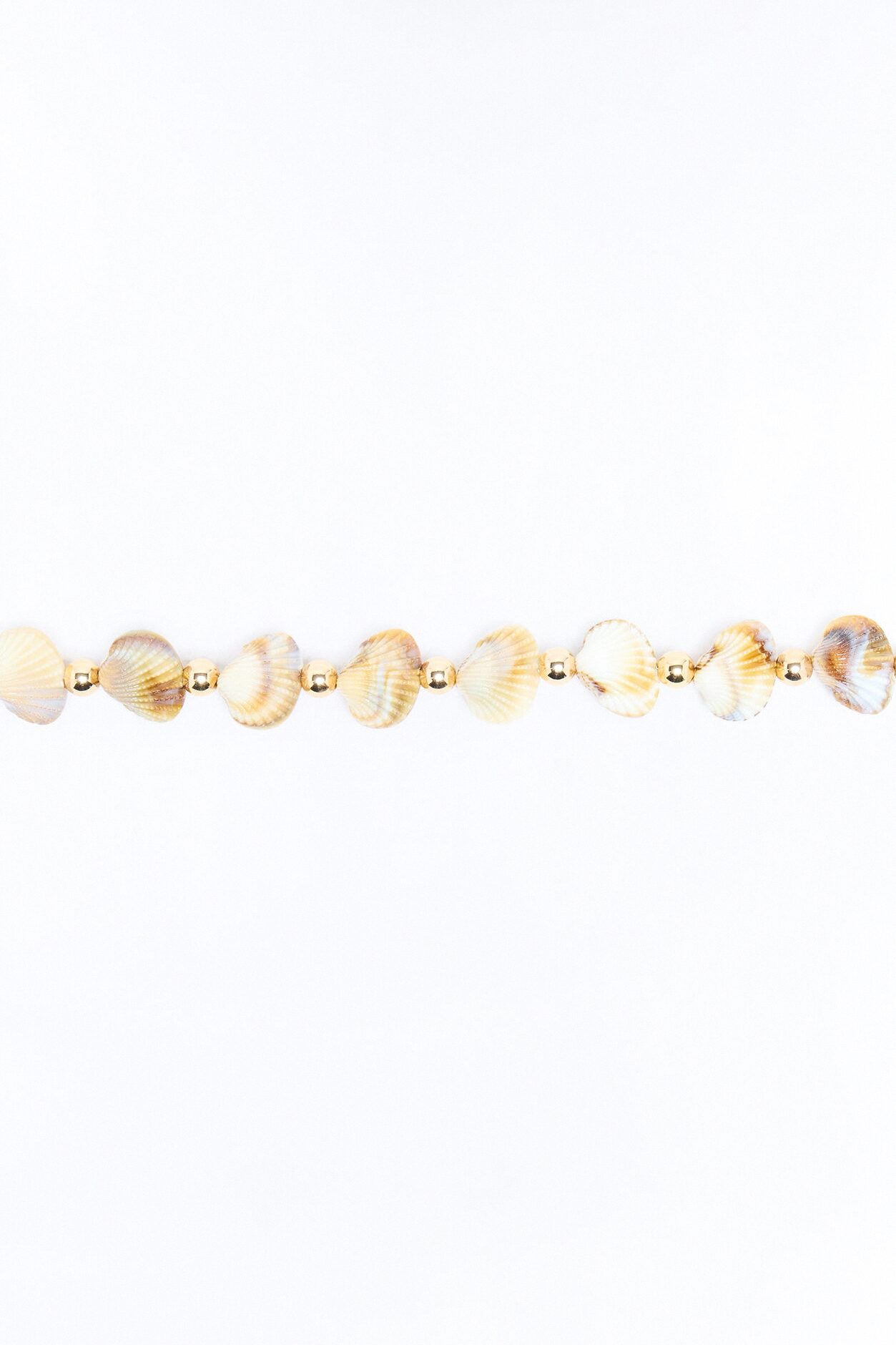 Moon Tide Shells Chain Belt - Gold
