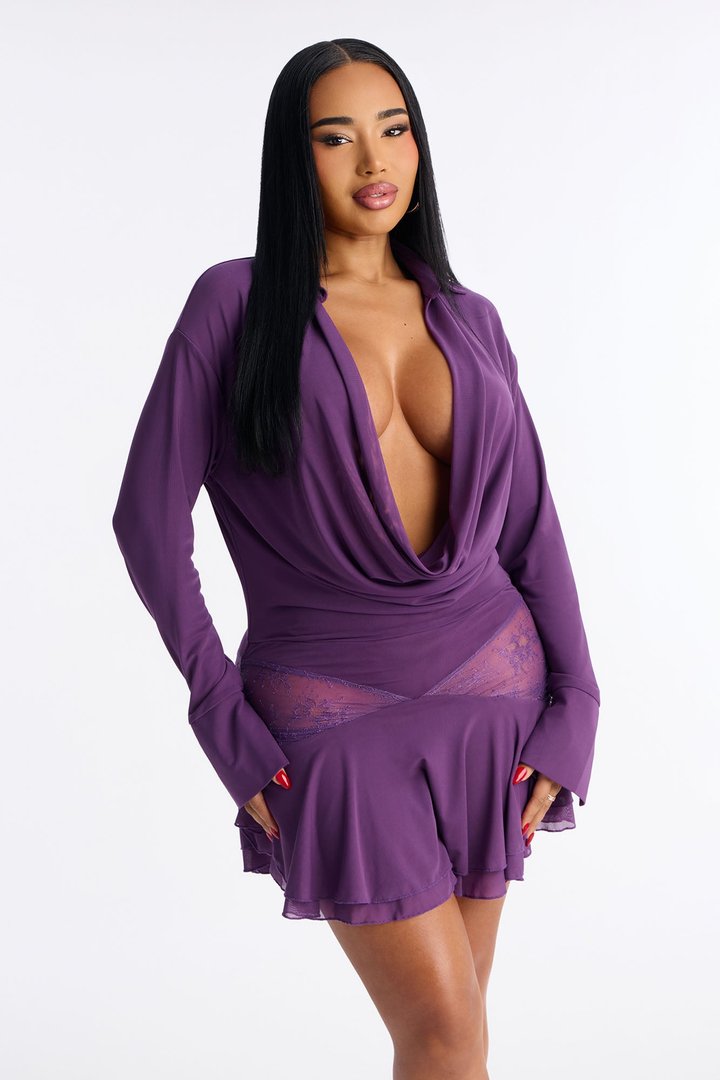 Our Little Secret Long Sleeve Mesh Mini Dress - Purple