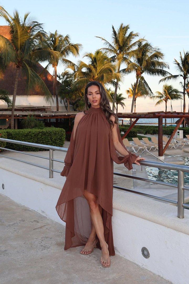 Aryal Long Sleeve Chiffon Maxi Dress - Brown
