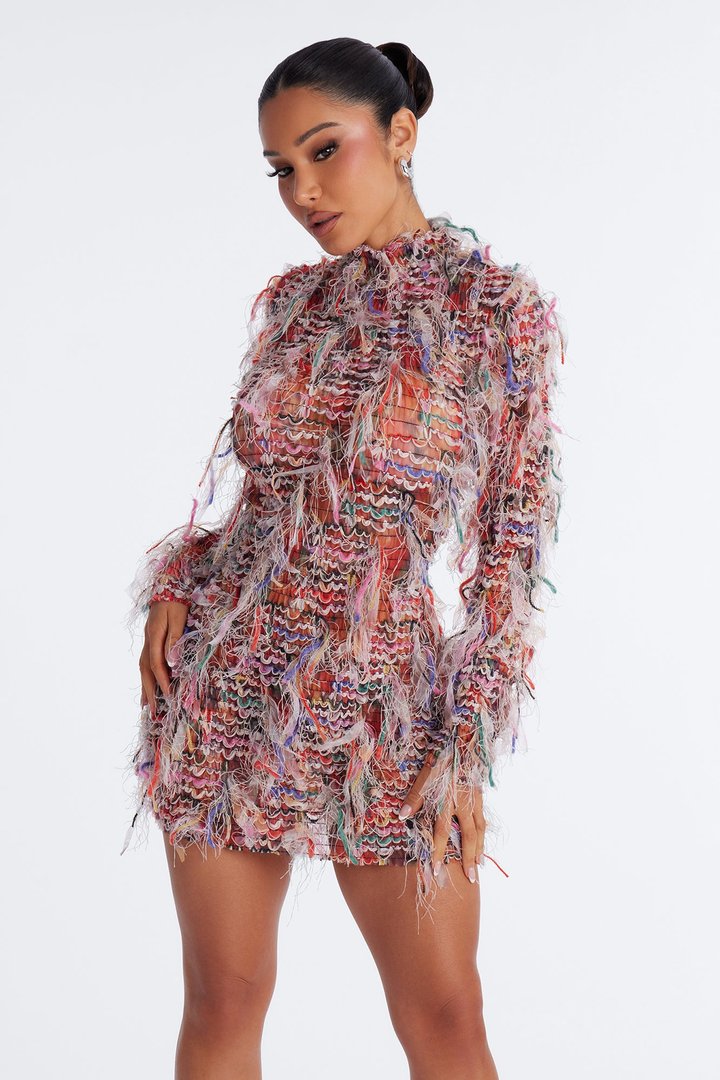 Lorelai Fringe Mesh Mini Dress - Multi Color