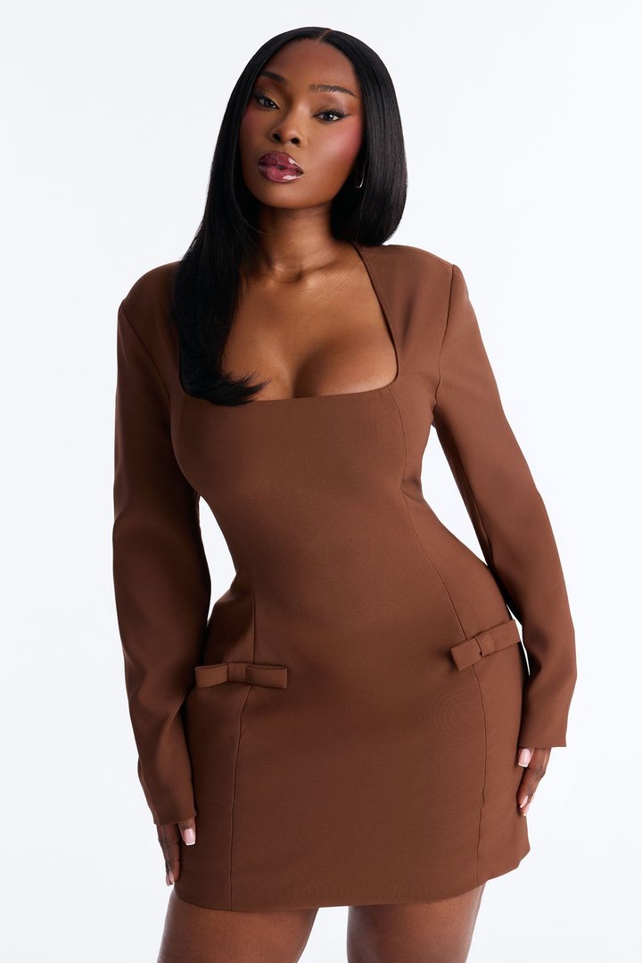 First Blush Poplin Mini Dress - Brown