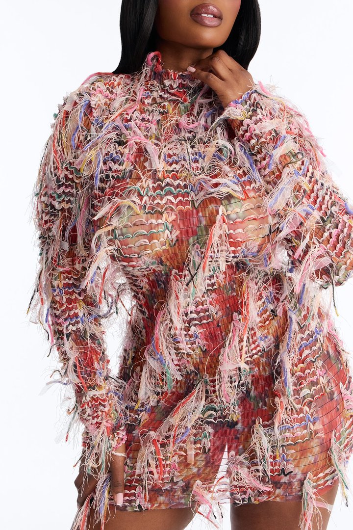 Lorelai Fringe Mesh Mini Dress - Multi Color