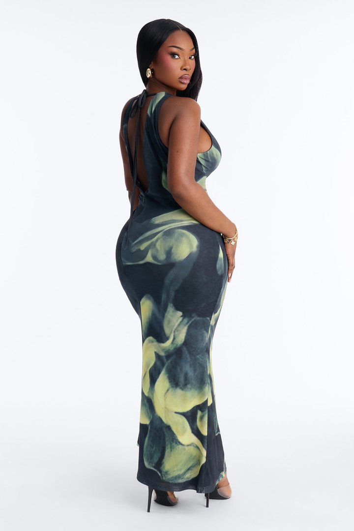 Paloma Backless Mesh Maxi Dress - Green/combo