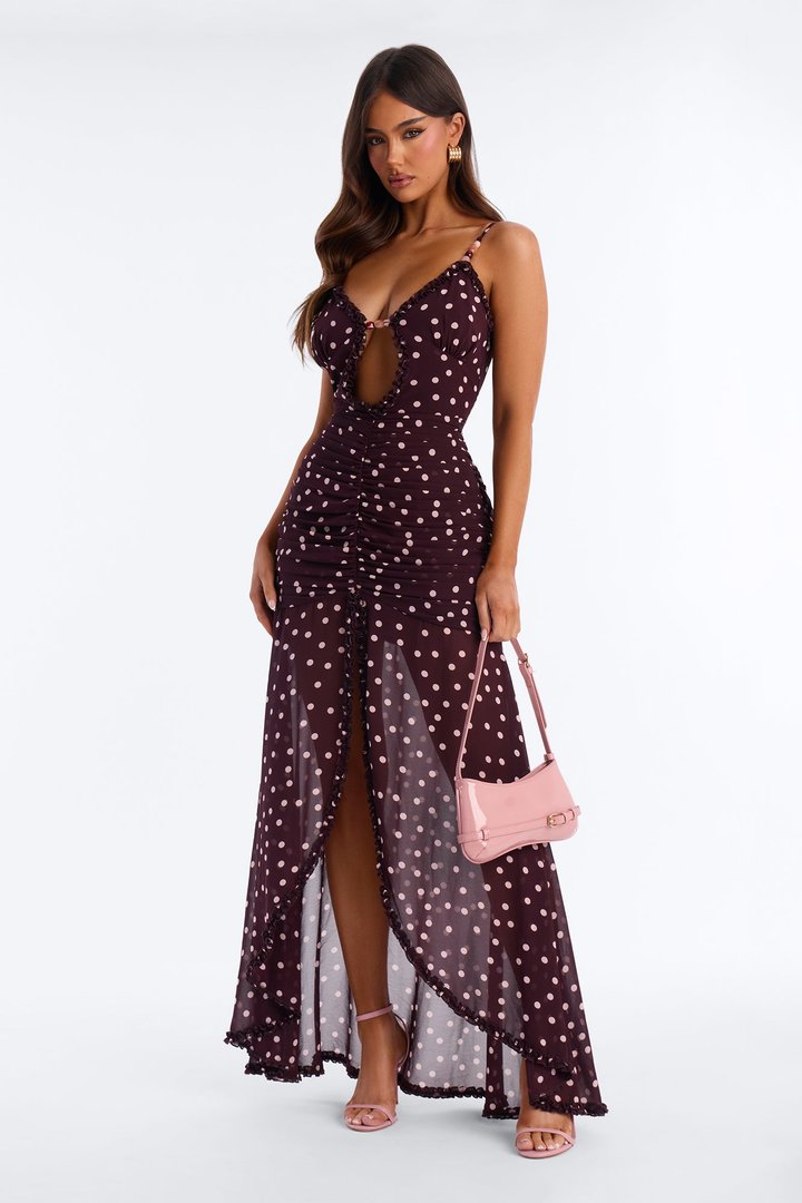 Pippa Polka Dot Chiffon Maxi Dress - Brown/combo