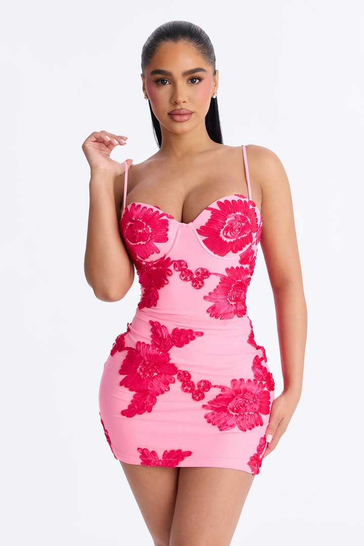 Poppy Embroidered Mesh Mini Dress - Pink