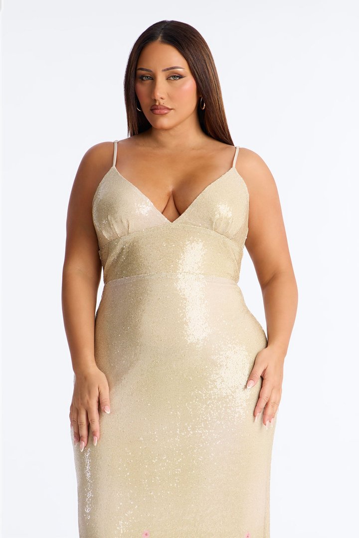 Delia Floral Sequin Gown - Nude/combo