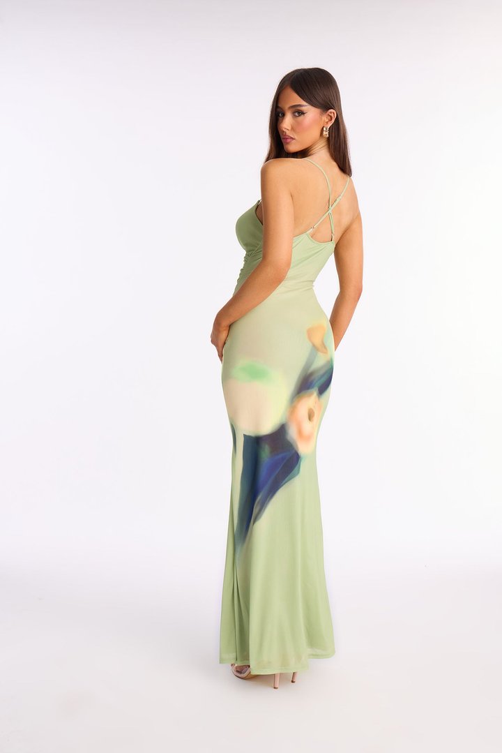 Janice Floral Mesh Maxi Dress - Green