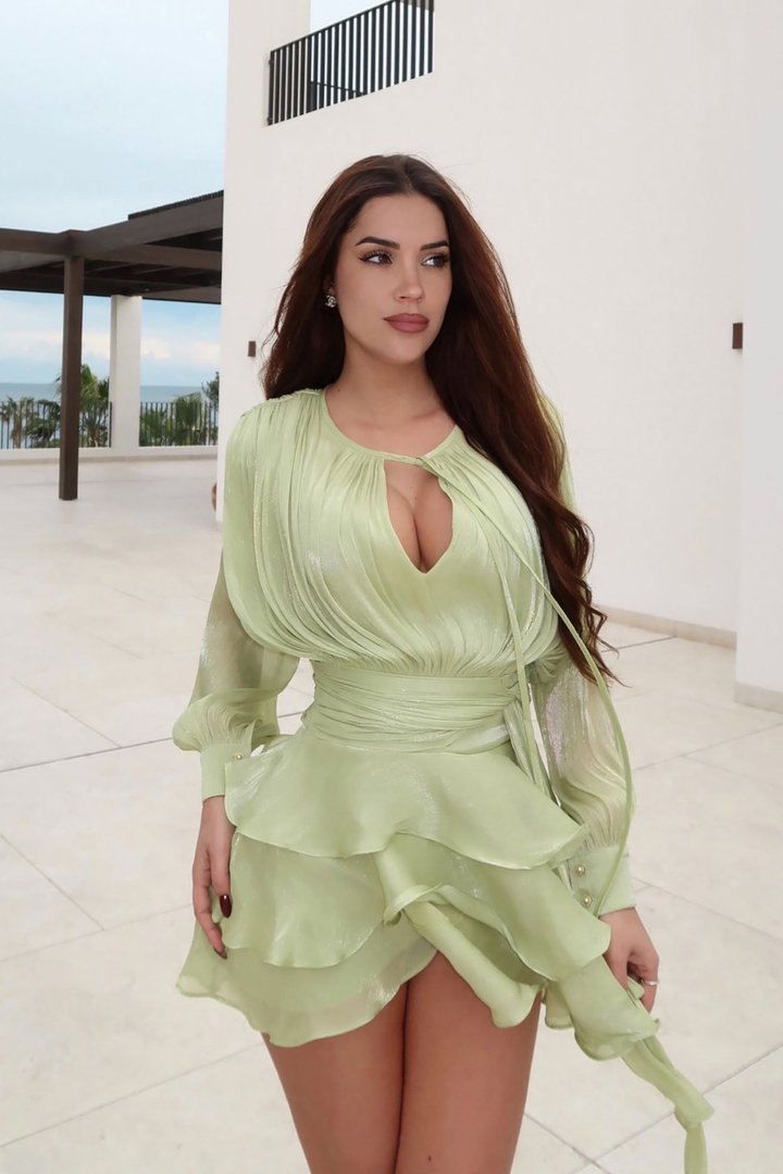 Giselle Soft Organza Mini Dress - Sage