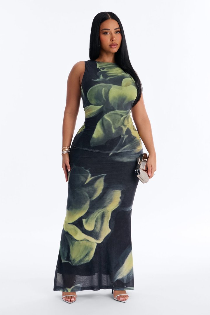 Paloma Backless Mesh Maxi Dress - Green/combo