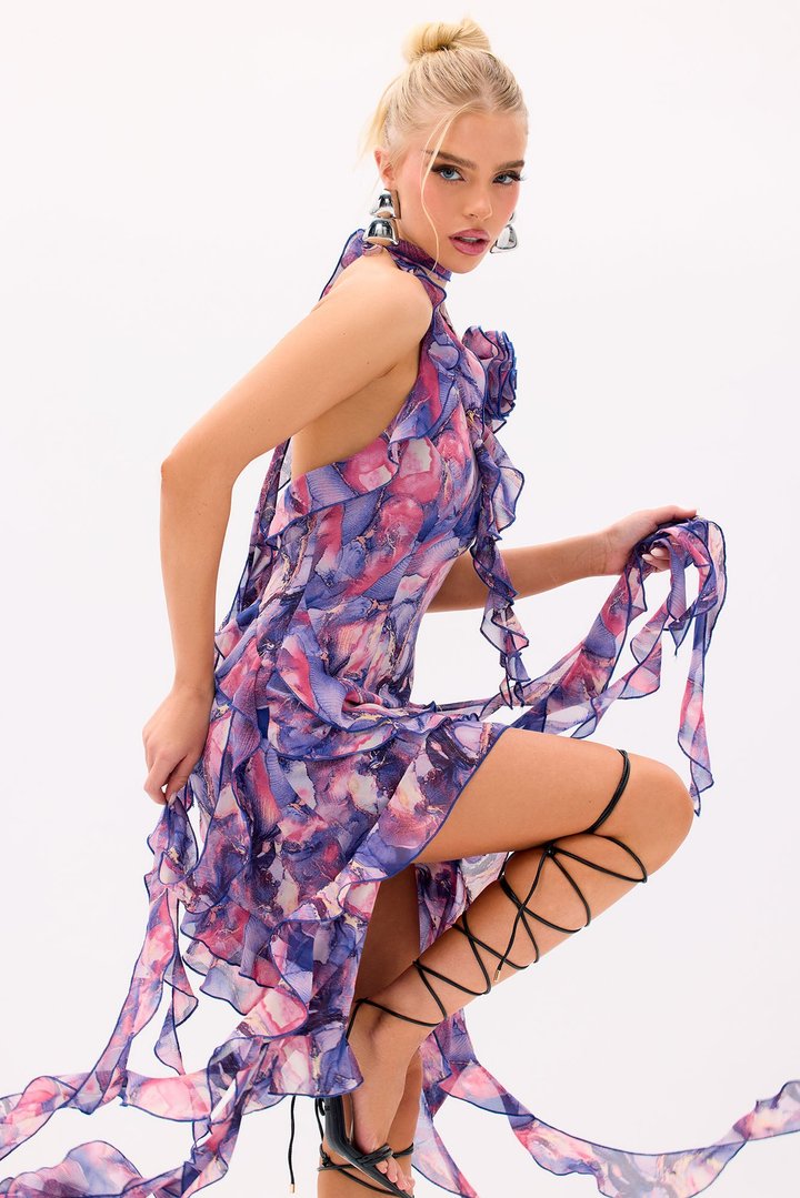 Ruffles and Roses Print Mini Dress - Purple/combo