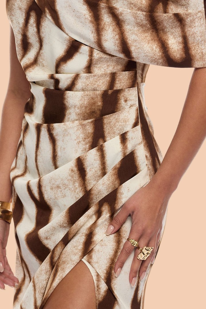 Eviana One Shoulder Chiffon Maxi Dress - Brown Combo