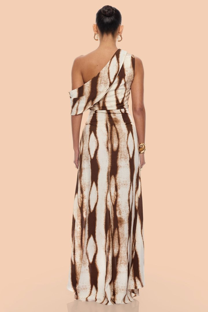 Eviana One Shoulder Chiffon Maxi Dress - Brown Combo