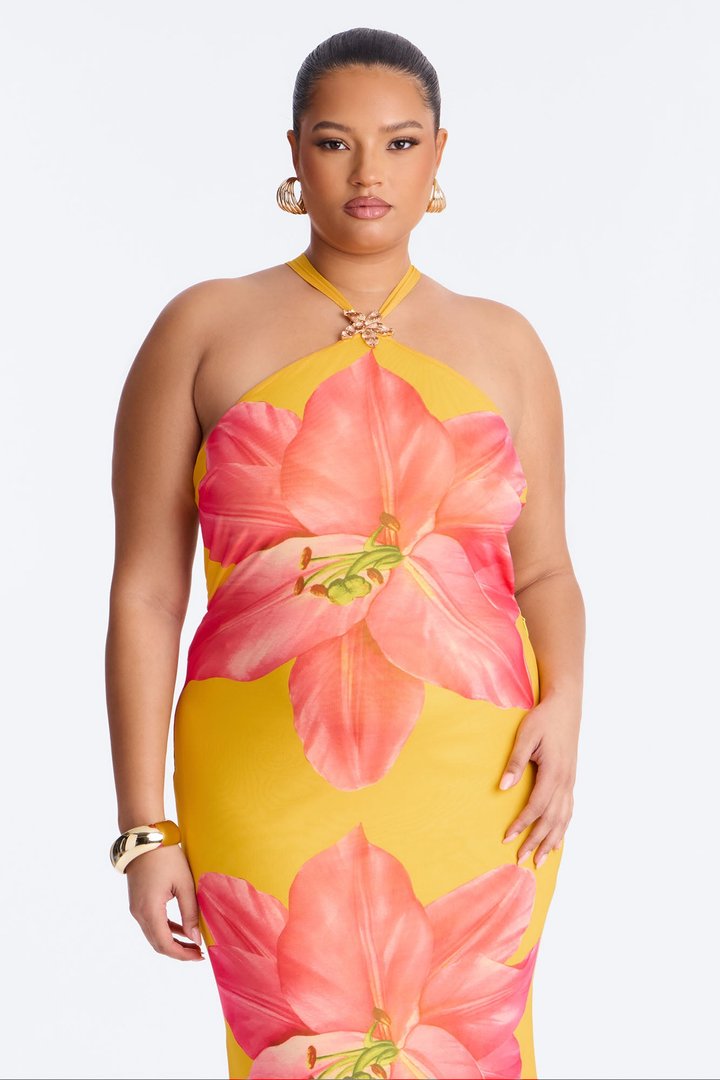 Imani Floral Mesh Maxi Dress - Orange/combo