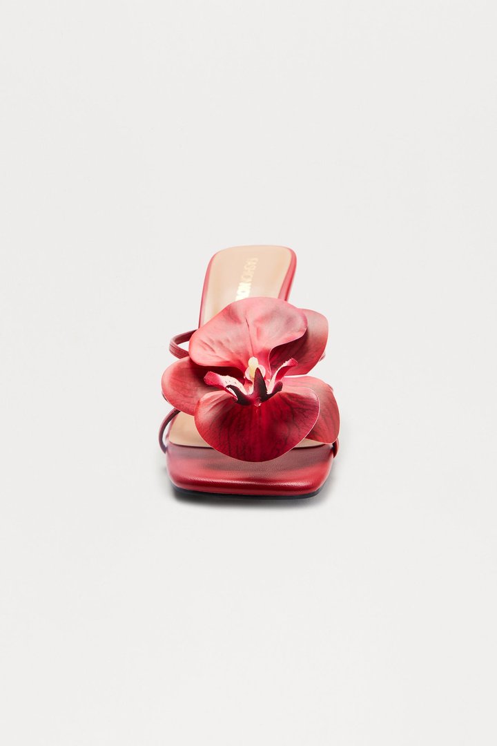 Hibiscus Honey Mules - Red