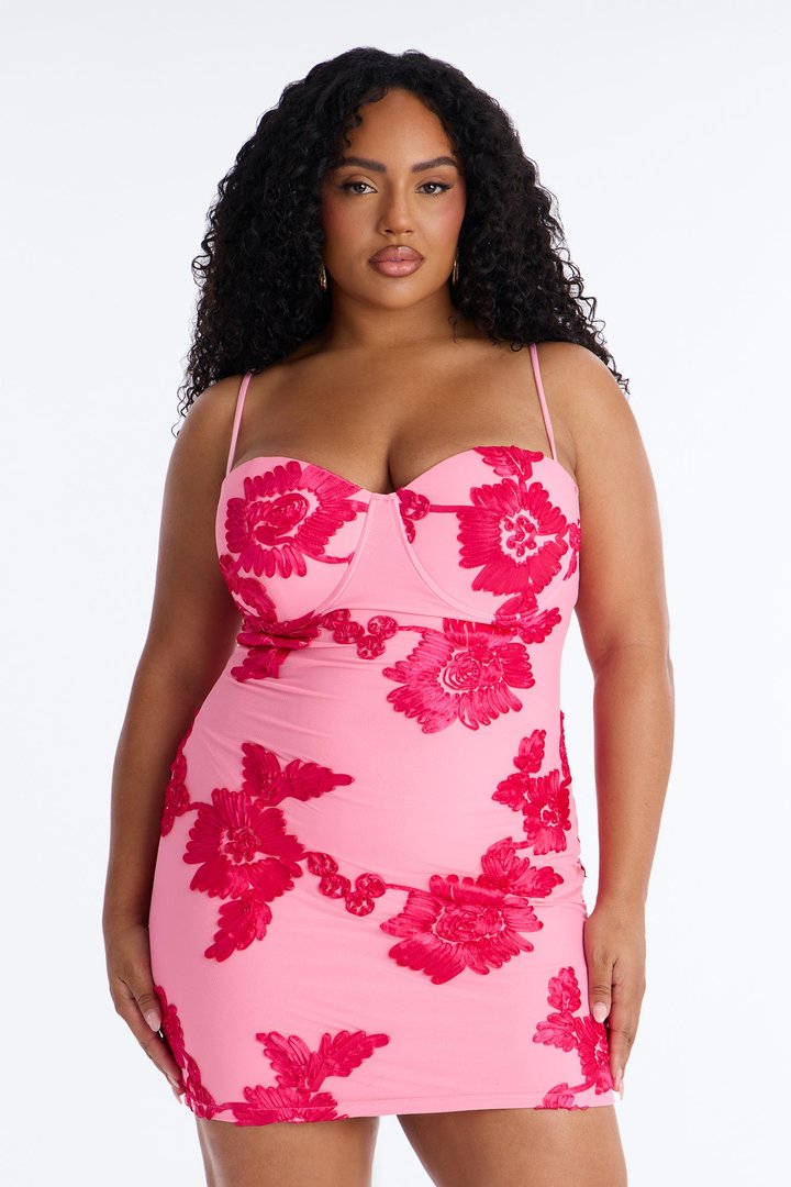 Poppy Embroidered Mesh Mini Dress - Pink