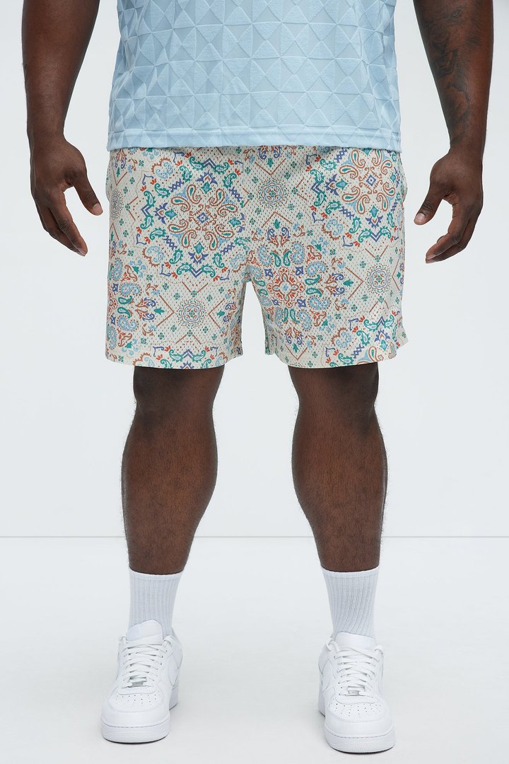 Bijan Rug Printed Shorts - Multi Color