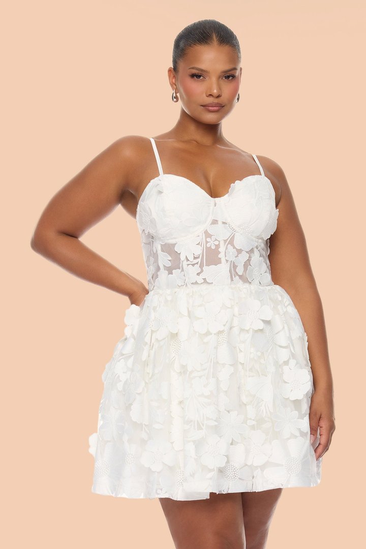 Heidi Embroidered Corset Mini Dress - White