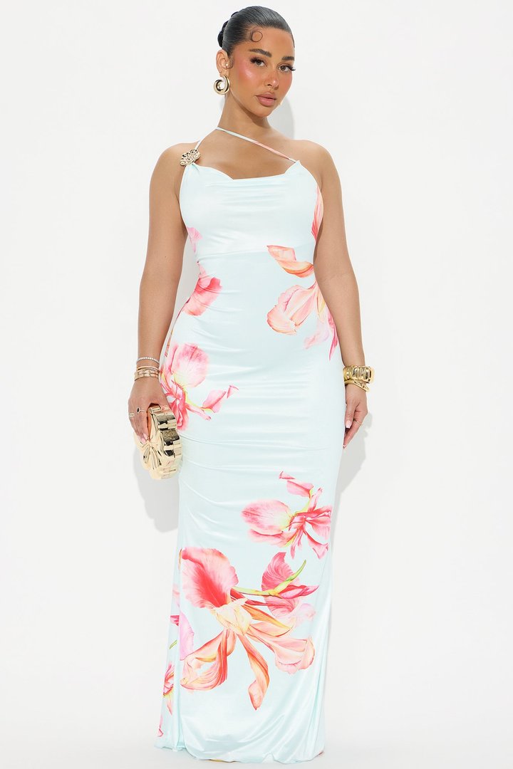 Summer Romance Floral Maxi Dress - Blue/combo