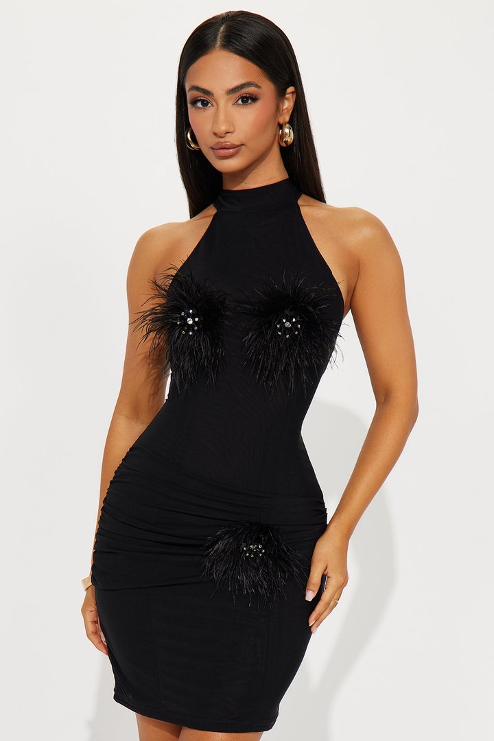 Here To Party Feather Mesh Mini Dress - Black