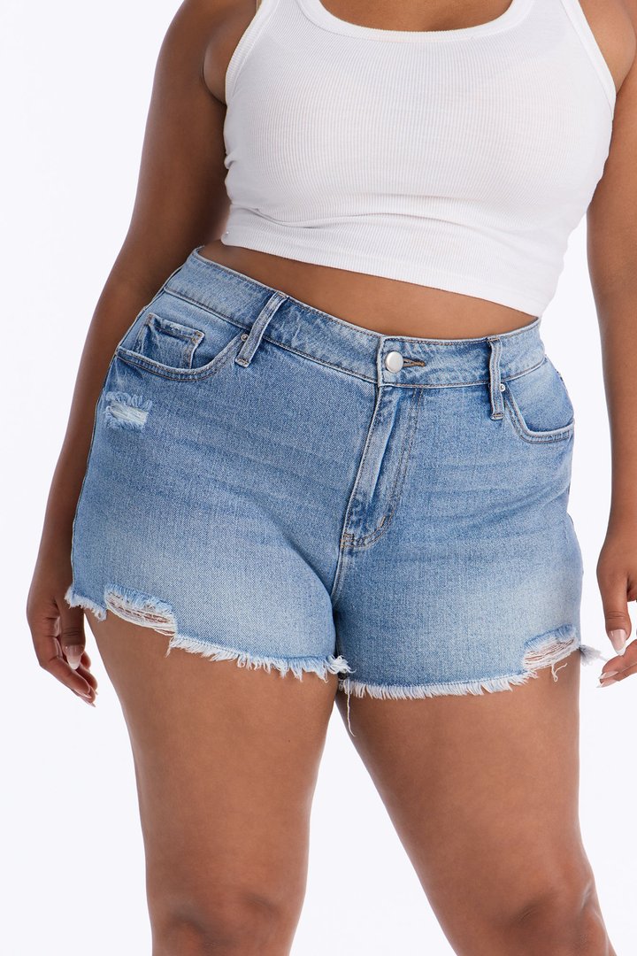 Dreah High Rise Ripped Denim Shorts - Vintage Wash