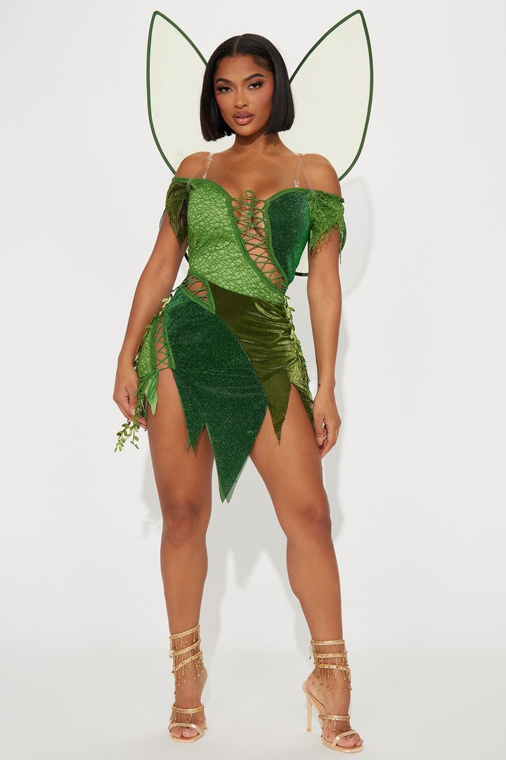 Sassy Fairy 2 Piece Costume Set - Green