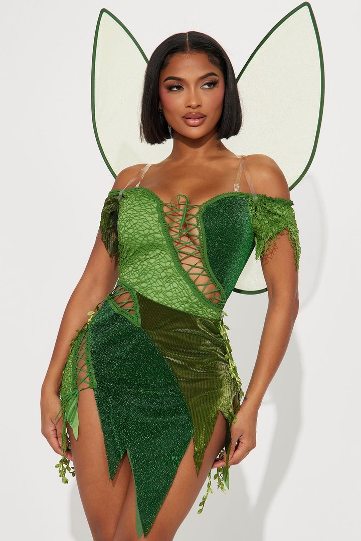 Sassy Fairy 2 Piece Costume Set - Green