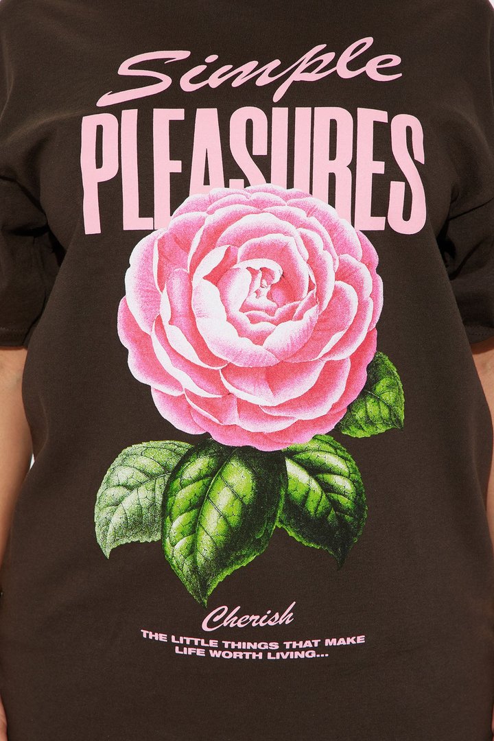 Simple Pleasures Graphic Tshirt - Brown