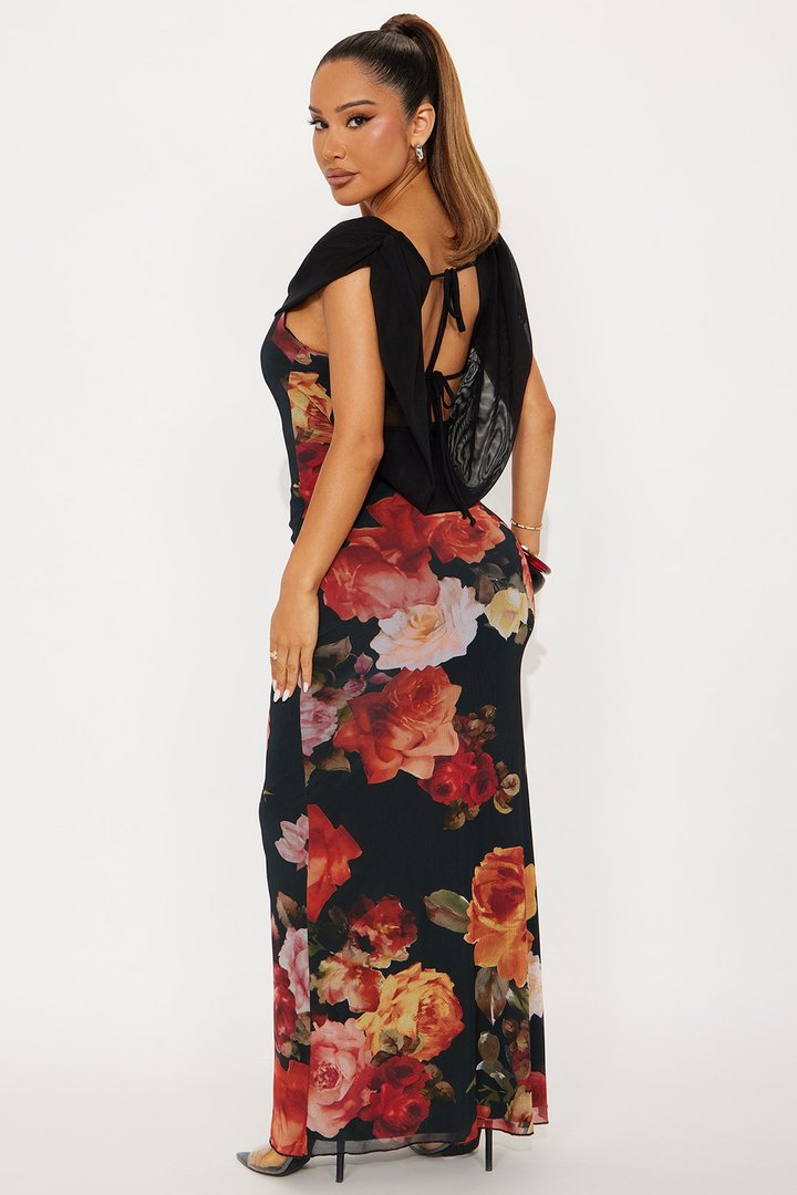 Karol Backless Mesh Maxi Dress - Black/combo