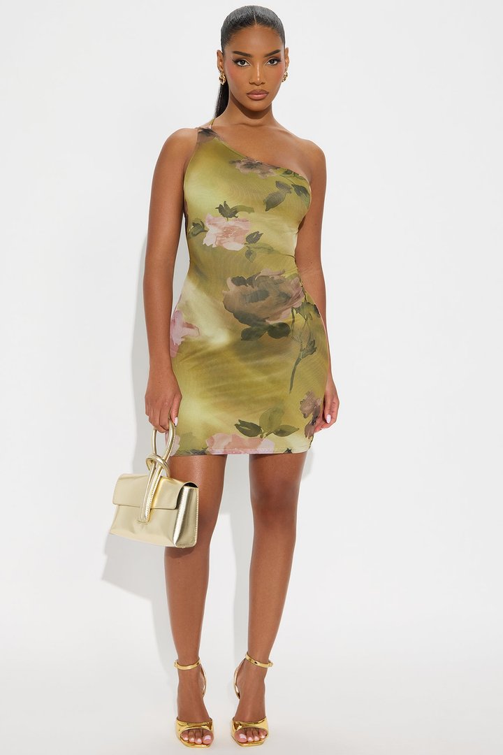 Dilly Dally Floral Mesh Mini Dress - Green/combo