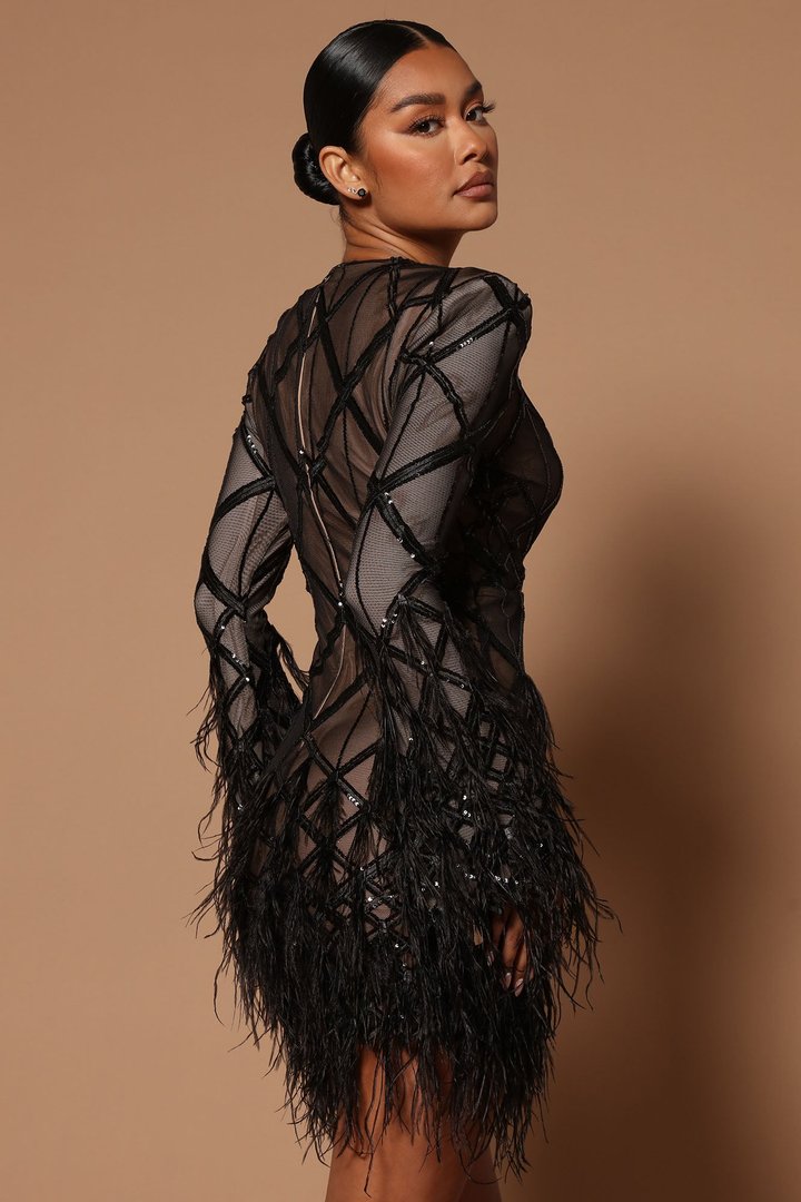 Amber Deep V Embellished Feather Trim Mini Dress - Black