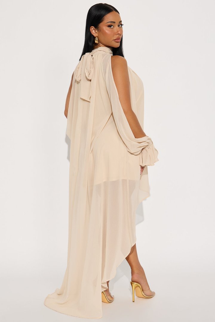 Aryal Long Sleeve Chiffon Maxi Dress - Cream