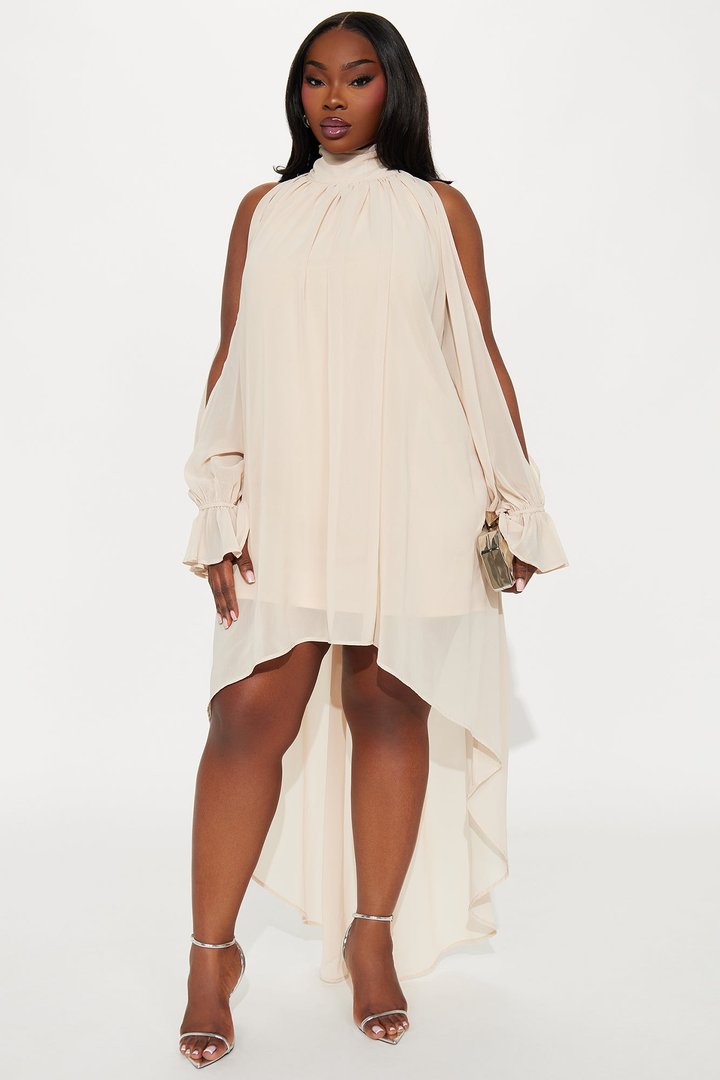 Aryal Long Sleeve Chiffon Maxi Dress - Cream