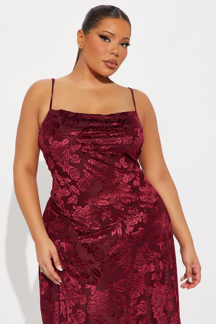 Noemi Asymmetrical Flocked Mesh Midi Dress - Wine