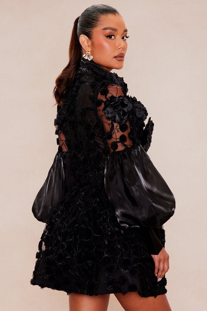 Raven Sheer Embroidered Mini Dress - Black